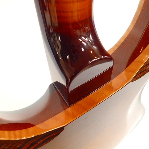 実際に弊社で買取させて頂いた★Paul Reed Smith/ポールリードスミス PRIVATE STOCK BRAZILIAN HOLLOWBODY Ⅱ Piezo エレキギター ハードケース付　の画像 7枚目