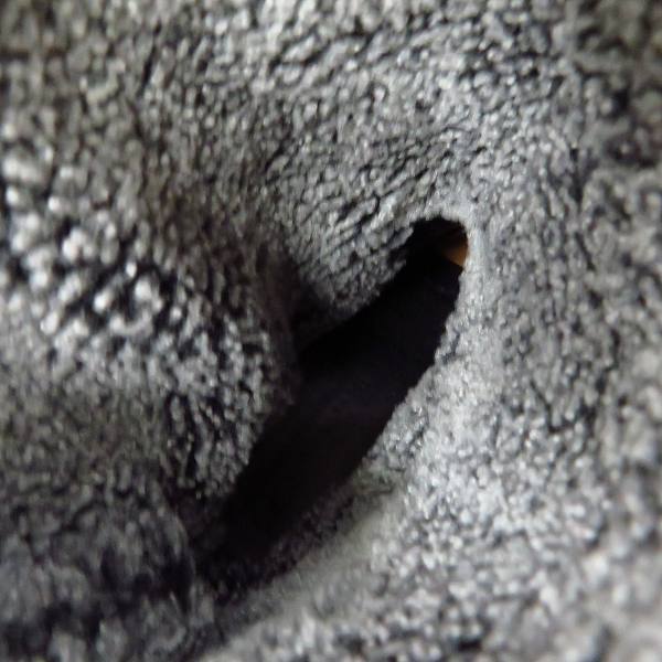 実際に弊社で買取させて頂いたGIORGIO ARMANI/ジョルジオ アルマーニ 内ボア レザーブーツ Size：41の画像 4枚目