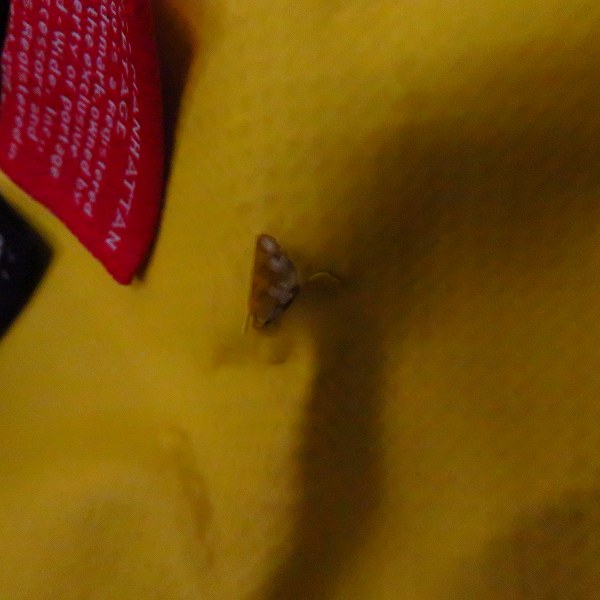 実際に弊社で買取させて頂いたMANHATTAN Portage/マンハッタンポーテージ メッセンジャー ショルダーバッグ MP1615の画像 8枚目