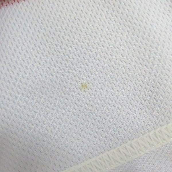 実際に弊社で買取させて頂いたCANTERBURY/カンタベリー ラグビー 2015 ワールドカップ 日本代表 ホームシャツ/Mの画像 5枚目