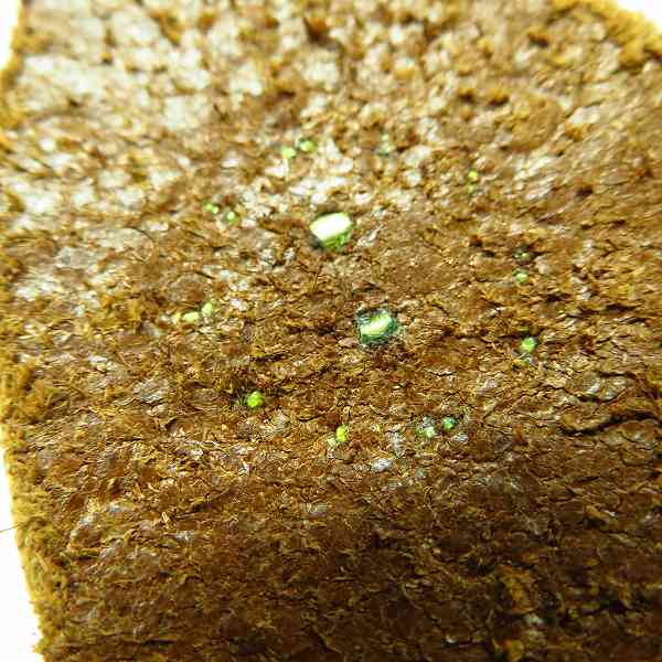 実際に弊社で買取させて頂いたHTC/エイチティーシー レザー スタッズ　ガチャベルト/34の画像 6枚目