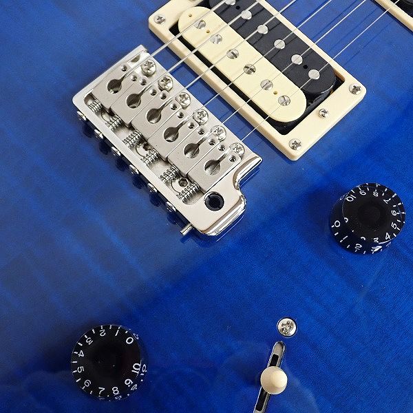 実際に弊社で買取させて頂いた★PRS/Paul Reed Smith/ポールリードスミス SE Custom 24 バードインレイ ギグケース付 の画像 5枚目