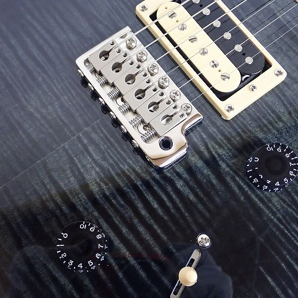 実際に弊社で買取させて頂いた★PRS/Paul Reed Smith/ポールリードスミス SE Custom 24 バードインレイ ギグケース付 の画像 6枚目