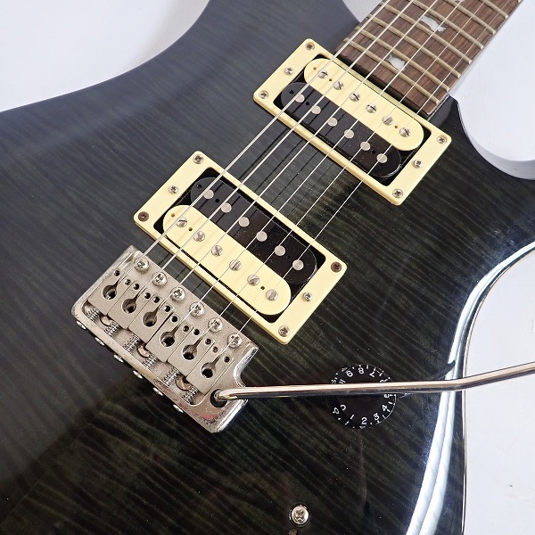 実際に弊社で買取させて頂いた★PRS/Paul Reed Smith/ポールリードスミス SE Custom 24 バードインレイ ギグケース付 の画像 5枚目