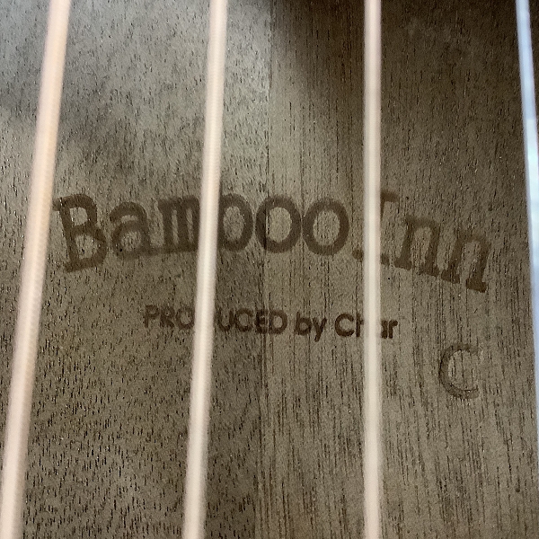 実際に弊社で買取させて頂いた★ESP/イーエスピー BambooInn-C バンブーイン ギター フォーク弦タイプ  ソフトケース付きの画像 5枚目