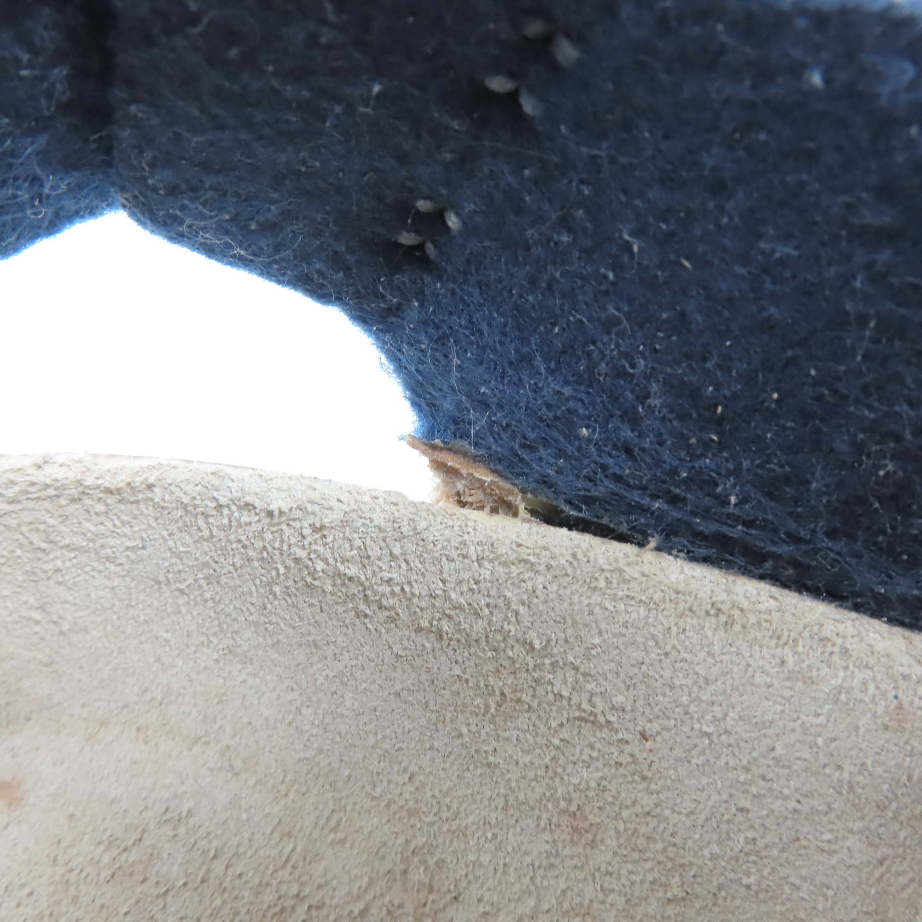 実際に弊社で買取させて頂いたBIRKENSTOCK/ビルケンシュトック Arizona/アリゾナ サンダル 26.5の画像 6枚目