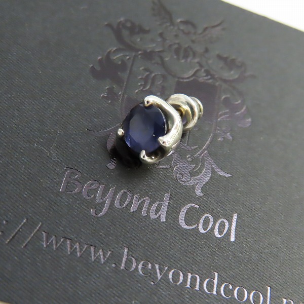 実際に弊社で買取させて頂いた【ギャラ付】Bloody Mary/ブラッディマリー Nut ナット ピアス 木の実 w/アイオライト