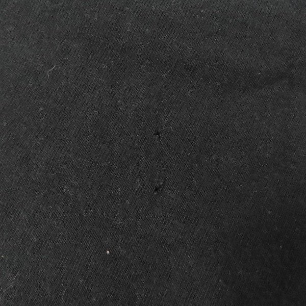 実際に弊社で買取させて頂いた銀杏BOYZ/GOING STEADY /ゴーイング・ステディ バンドTシャツ 4点セットの画像 7枚目