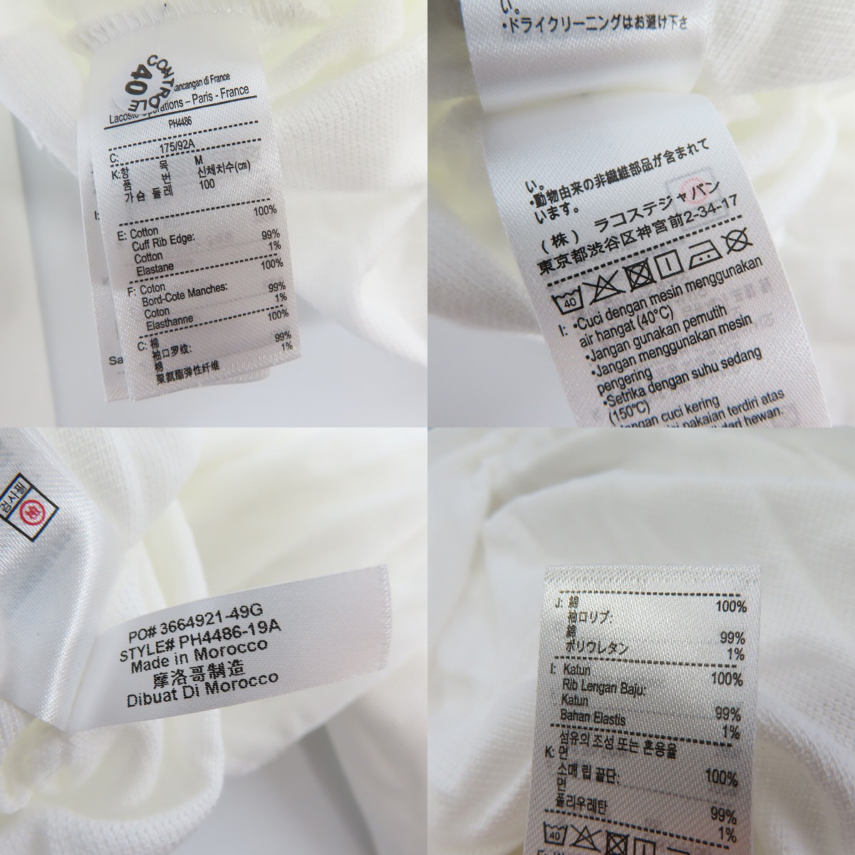 実際に弊社で買取させて頂いた【未使用】LACOSTE/ラコステ Save Our Species 1400枚限定 ハワイアンモンク アザラシ ポロシャツ PH4486L-YR3/Mの画像 4枚目