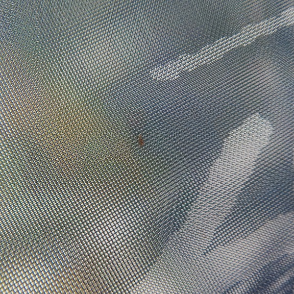 実際に弊社で買取させて頂いたSTUSSY×HELINOX/ステューシー×ヘリノックス DYED MESH BEACH CHAIR メッシュビーチチェア/キャンプチェアの画像 6枚目