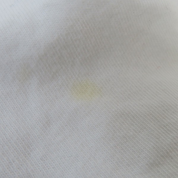 実際に弊社で買取させて頂いたChampion/チャンピオン SDP/スチャダラパー ボディ バンドTシャツ/Mの画像 8枚目