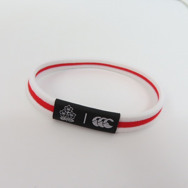 実際に弊社で買取させて頂いた【未使用】Canterbury/カンタベリー 2019年ラグビーワールドカップ ユニフォーム 3Lの画像 7枚目