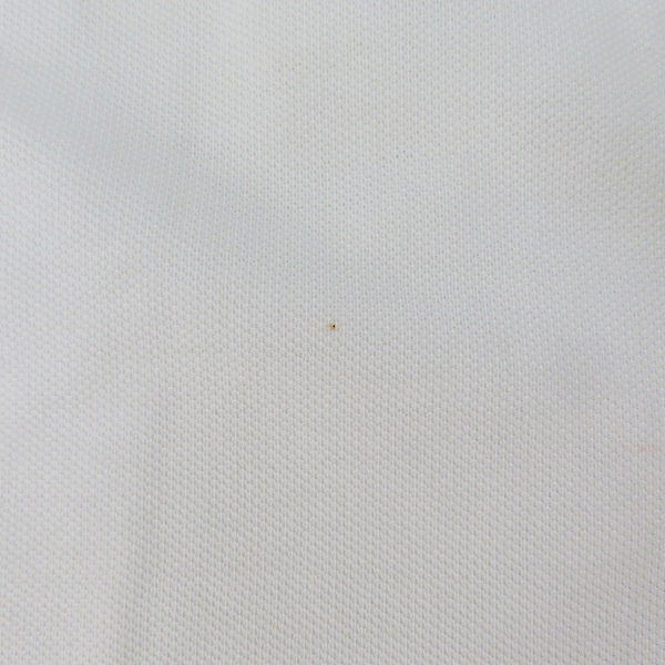 実際に弊社で買取させて頂いたdunhill/ダンヒル ポロシャツ ホワイト/Mの画像 6枚目