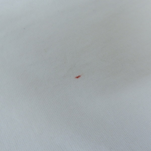 実際に弊社で買取させて頂いたBURBERRY/バーバリー Tシャツ/カットソー/ホワイト/Lの画像 9枚目