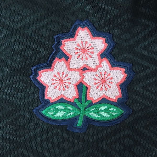 実際に弊社で買取させて頂いたCANTERBURY/カンタベリー  ジャパン日本代表 メディア ポロシャツ/RP39522J/3Lの画像 6枚目