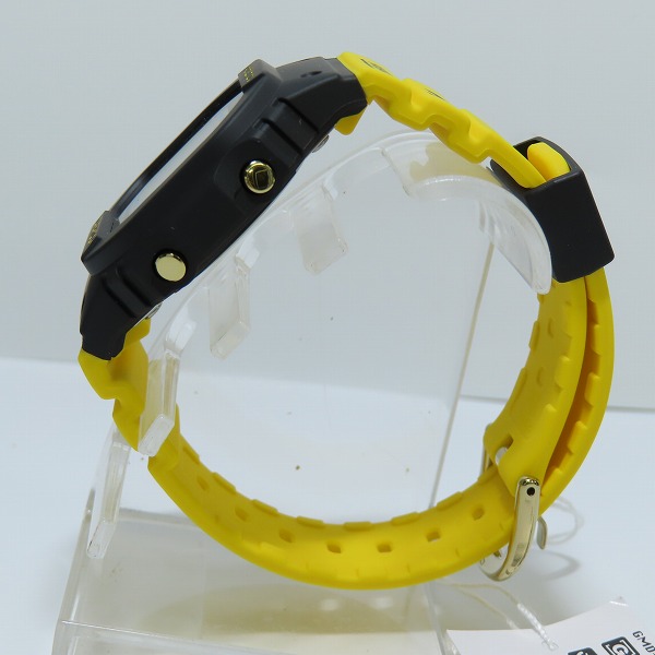 G-SHOCK/Gショック 2023 イルカ・クジラ アイサーチ・ジャパン
