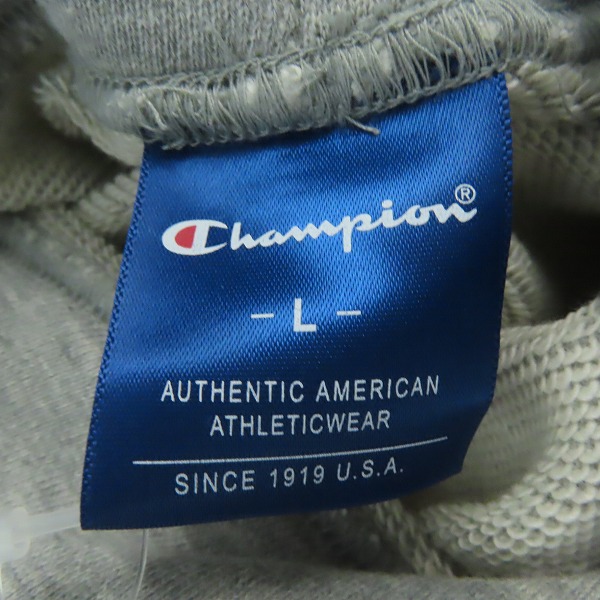 実際に弊社で買取させて頂いた(5)【未使用】DNG DetonatioN Gaming × Champion/チャンピオン フーデッドスウェットパーカー C8-TE101/Lの画像 2枚目