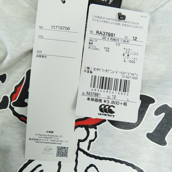 実際に弊社で買取させて頂いた【未使用】CANTERBURY peanuts/カンタベリー ピーナッツ Tシャツ スヌーピープリント RA37881/Lの画像 6枚目