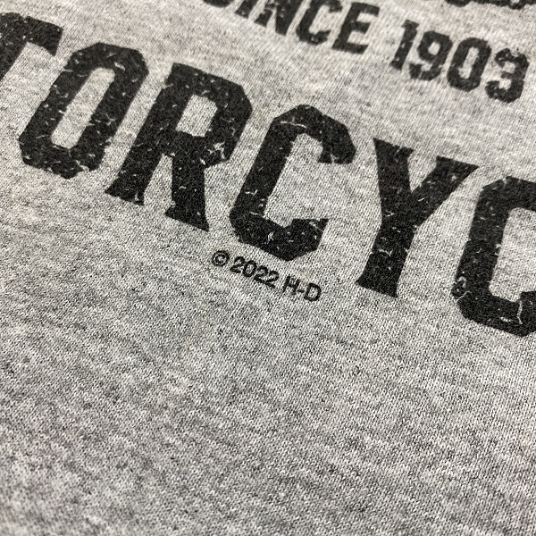 実際に弊社で買取させて頂いたHarley davidson/ハーレーダビッドソン カットソー /3XLの画像 5枚目