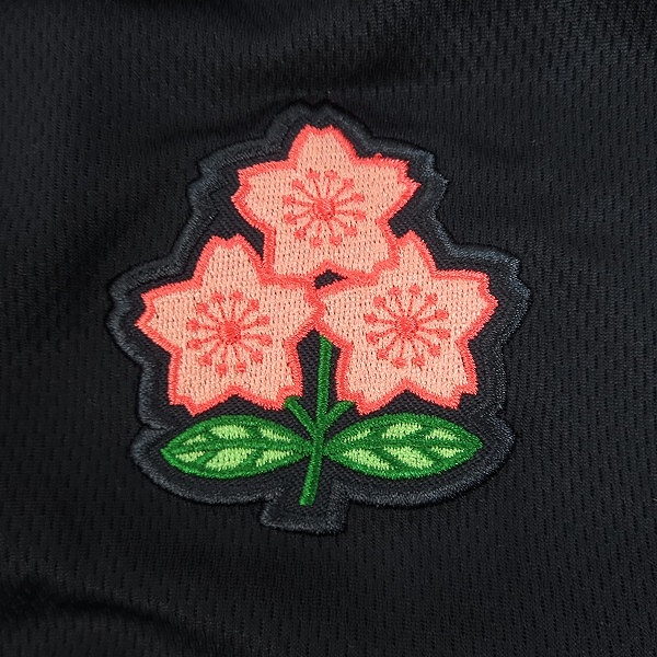 実際に弊社で買取させて頂いたCANTERBURY/カンタベリー ブリティッシュ＆アイリッシュ・ライオンズ ウィンガーポロ ネイビー/RA31272 /Lの画像 6枚目