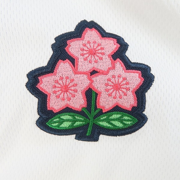 実際に弊社で買取させて頂いたCANTERBURY/カンタベリー ブリティッシュ＆アイリッシュ・ライオンズ ウィンガーポロ RA31272 /Lの画像 6枚目