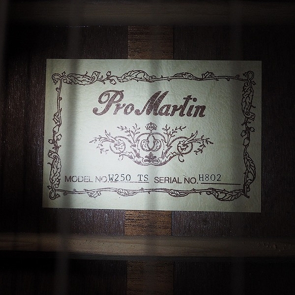 実際に弊社で買取させて頂いた★Pro Martin/プロマーティン W250 TS アコースティックギター/アコギ ハードケース付属の画像 4枚目