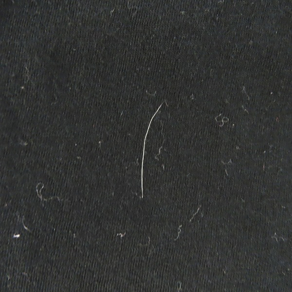 実際に弊社で買取させて頂いたHYSTERIC GLAMOUR/ヒステリックグラマー レディース スカルベリー スカル/ストロベリー ロンT 3CL-6180/Fの画像 7枚目