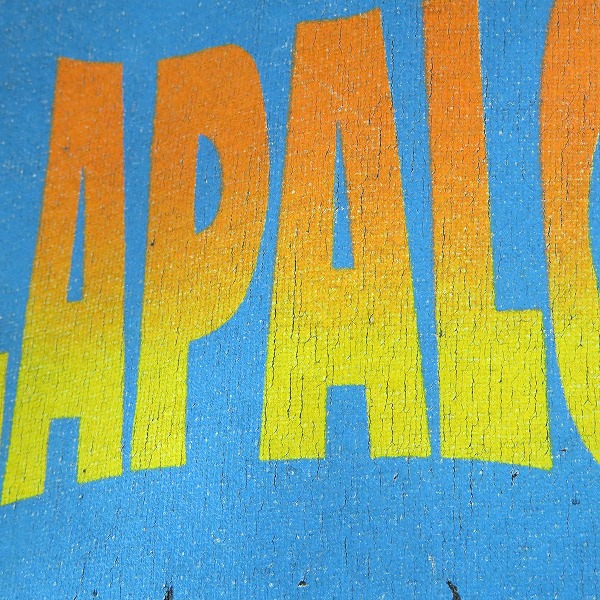 実際に弊社で買取させて頂いたLollapa looza/ロラパルーザ 92年/ヴィンテージ/ビンテージ ツアーTシャツ の画像 3枚目