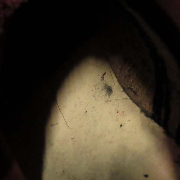 実際に弊社で買取させて頂いたDr.Martens/ドクターマーチン 1460 SMOOTH 8ホール ブーツ チェリーレッド /UK9の画像 7枚目