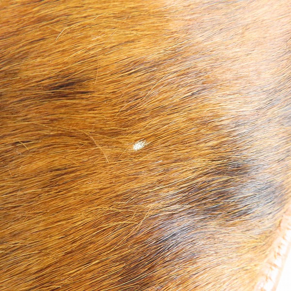 実際に弊社で買取させて頂いたIL BISONTE/イルビゾンテ ハラコクッションの画像 6枚目