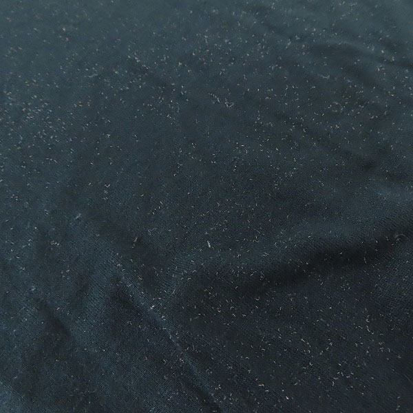 実際に弊社で買取させて頂いたEMPORIO ARMANI/エンポリオアルマーニ ロゴプリント レーヨン Tシャツ の画像 6枚目