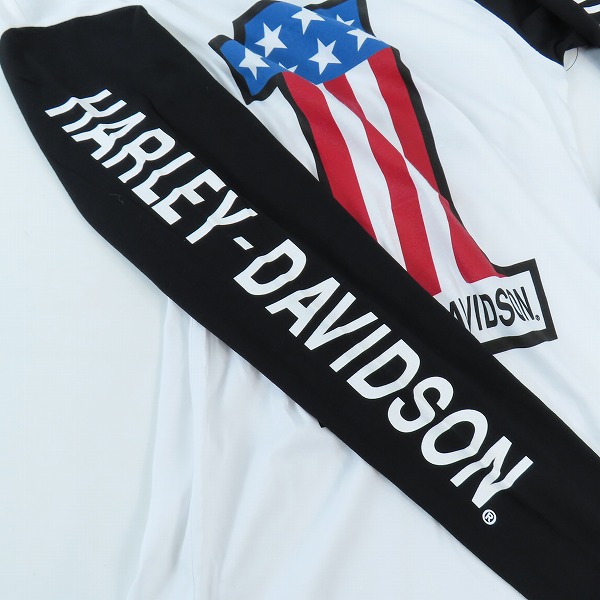 実際に弊社で買取させて頂いたHARLEY-DAVIDSON/ハーレーダビッドソン カラーブロックタイプロンT/Sの画像 4枚目