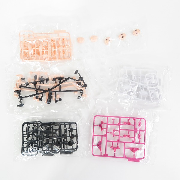 実際に弊社で買取させて頂いた【未組立】アオシマ No.MC-09 ヴァリアブルファイターガールズ マクロスF VF-25F メサイア・ランカ・リーの画像 4枚目