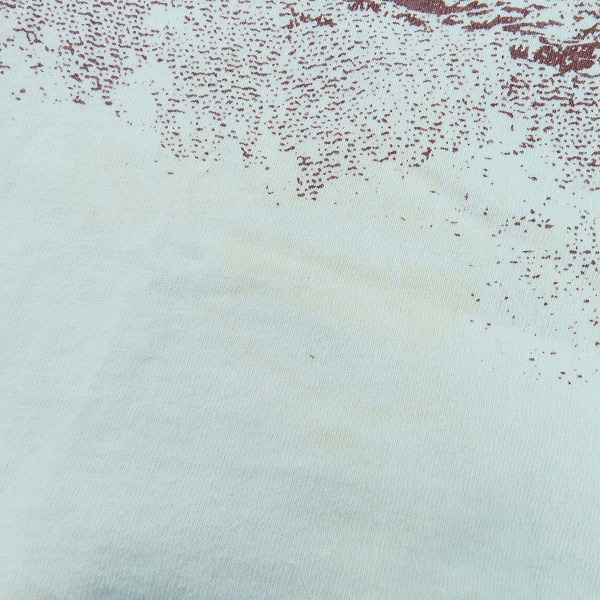 実際に弊社で買取させて頂いたChampion/チャンピオン 80S/Harvard vs YALE/ハーバード大学vs イエール大学 アメフト試合 Tシャツ XLの画像 6枚目