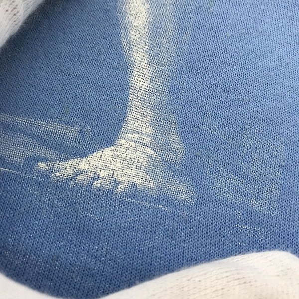 実際に弊社で買取させて頂いたChampion×PYREX VISION/チャンピオン×パイレックス ビジョン フーディ プリントパーカー ブルー/Mの画像 6枚目