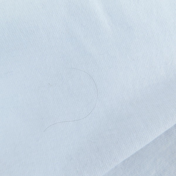 実際に弊社で買取させて頂いたBUZZ RICKSON'S/バズリクソンズ GIL ELVGREN GEORGIA PEACH Tシャツ BR79438 /XXLの画像 5枚目