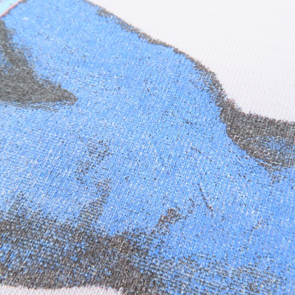 実際に弊社で買取させて頂いたDIOR×Alex Foxton/ディオール×アレックス フォックストン【20SS】ローズプリント コットン 半袖Tシャツ 943J605B0554/Sの画像 8枚目