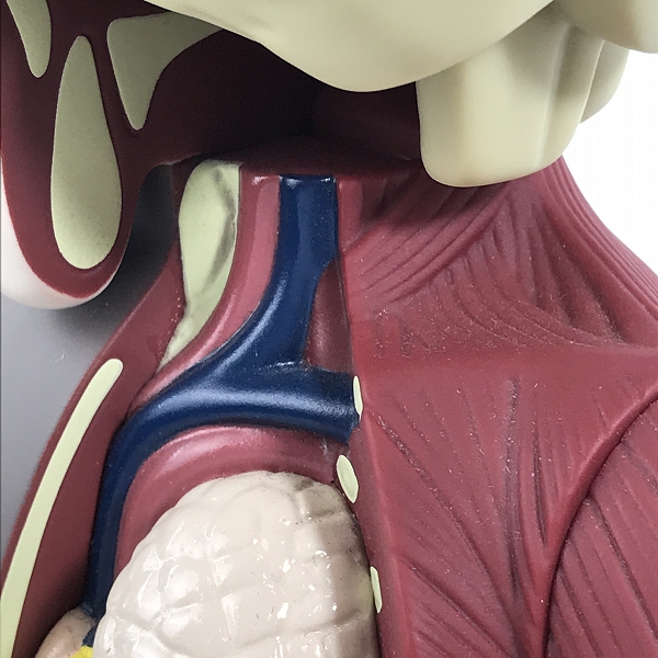 実際に弊社で買取させて頂いたMEDICOM TOY×KAWS/メディコムトイ×カウズ COMPANION FLAYED Open Edition/コンパニオン フレイド ビニールフィギュアの画像 9枚目