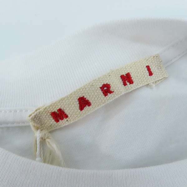 実際に弊社で買取させて頂いた【未使用】MARNI/マルニ 24SS Ghingam Jersey Tee ギンガム ロゴTシャツ HUMU0198PT/46の画像 2枚目