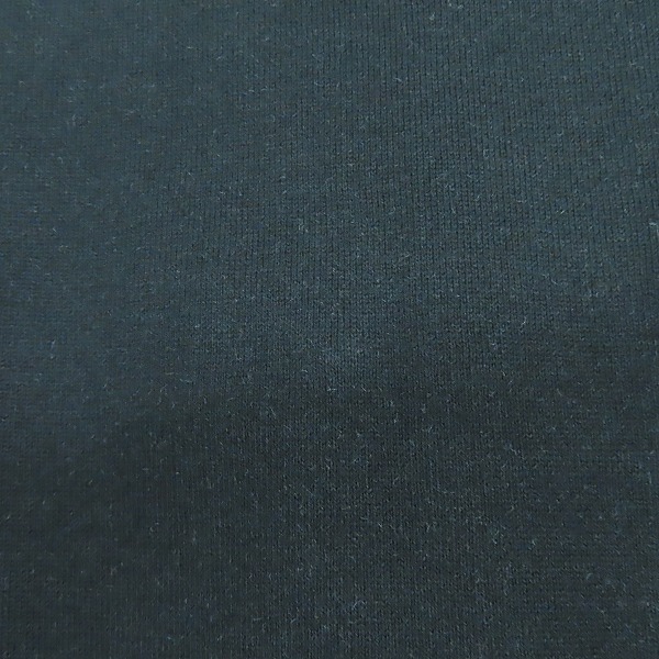 実際に弊社で買取させて頂いた【JPタグ】VERSACE/ヴェルサーチ 長袖 ヒョウプリント Tシャツ A81267/Lの画像 9枚目