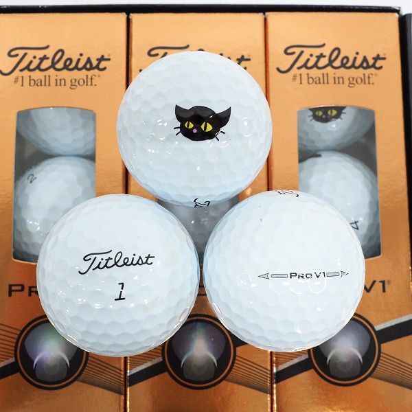 実際に弊社で買取させて頂いた【未使用/オウンネーム】Titleist/タイトリスト PRO V1 ゴルフボール ホワイト 1ダースの画像 1枚目