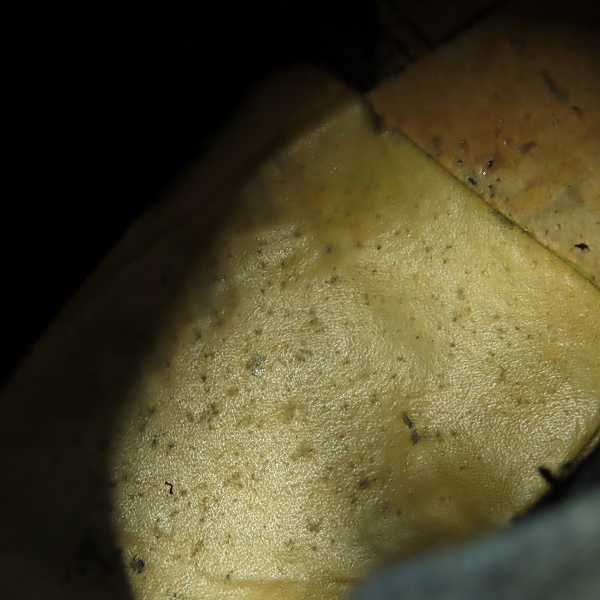 実際に弊社で買取させて頂いたCHIPPEWA/チペワ 7インチ スチールトゥ レザー ショートエンジニアブーツ 91002/7Eの画像 7枚目