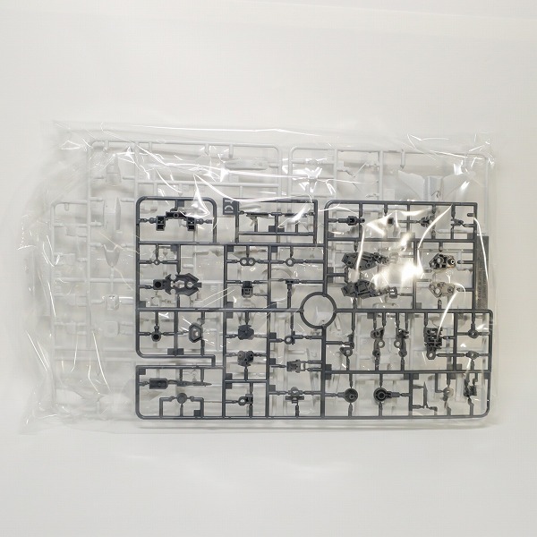 実際に弊社で買取させて頂いた【未組立】BANDAI/バンダイ RG 1/144 フォースインパルスガンダム SpecⅡの画像 1枚目