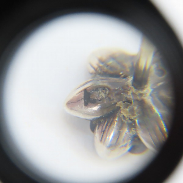 実際に弊社で買取させて頂いた【ギャラ付き】KONRON/コンロン ベビースカル ピアスの画像 6枚目