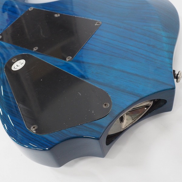 実際に弊社で買取させて頂いた★【弦無し】GrassRoots/グラスルーツ G-FR-62GT #STB フォレストType エレキギター ギグケース付の画像 7枚目