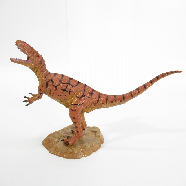 実際に弊社で買取させて頂いた福井県立恐竜博物館 フクイラプトル 限定フィギュア/恐竜の画像 3枚目