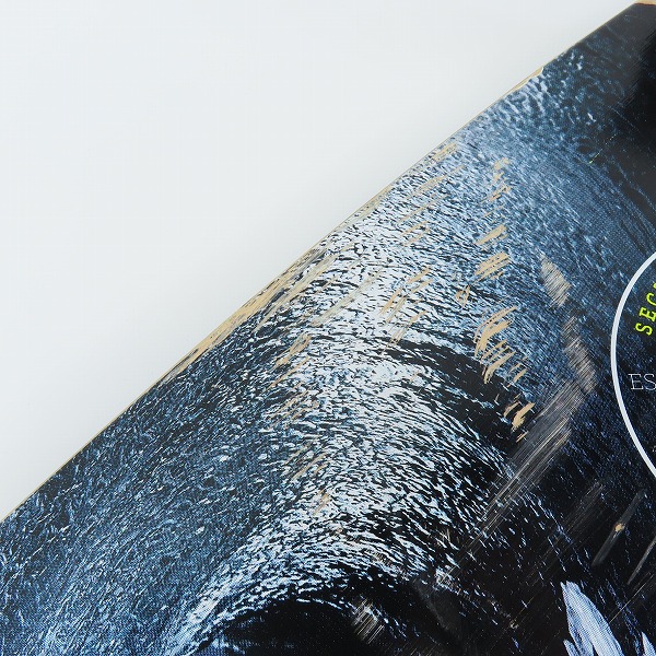 実際に弊社で買取させて頂いたSECTOR9/セクターナイン ELECTRIC UNAGI クルーザー/サーフスケート スケートボードの画像 7枚目