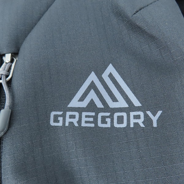 実際に弊社で買取させて頂いた【未使用】GREGORY/グレゴリー RHUNE20/ルーヌ20 リュック/バックパック 143375 6404の画像 3枚目