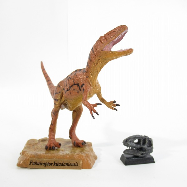 実際に弊社で買取させて頂いた福井県立恐竜博物館 フクイラプトル 限定フィギュア/恐竜の画像 1枚目