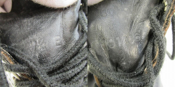 実際に弊社で買取させて頂いたRED WING/レッドウィング アイリッシュセッターブーツ 08179/7.5Eの画像 6枚目